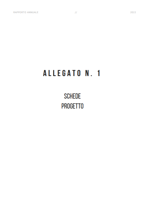 Allegato – Rapporto Annuale 2022