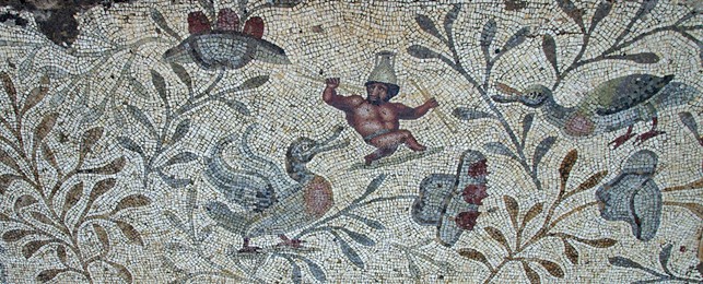 Cooperazione Delegata